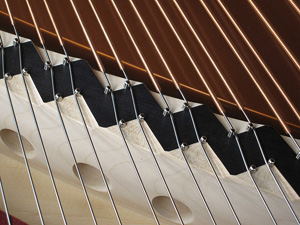 Mass-Reduced-Piano-Bridge